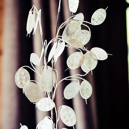 Nyaraló Am Teich Kappel am Krappfeld