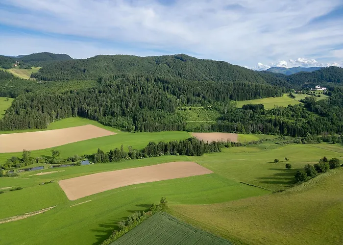 Nyaraló Am Teich Kappel am Krappfeld
